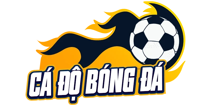 Cá độ bóng đá